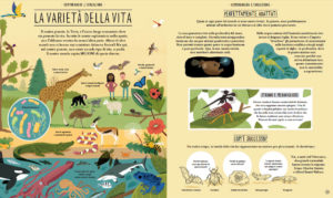 Meravigliosa Evoluzione. Il viaggio della vita, di Anna Claybourne