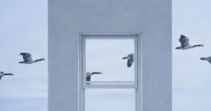 C’è un tempo per ogni cosa, anche per il bell’albo di Quint Buchholz