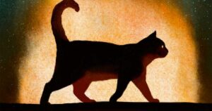 Blitzcat: Robert Westall racconta gli orrori della guerra grazie a una gatta