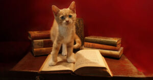 I migliori libri sugli animali per bambini