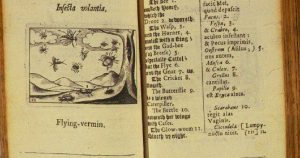 Sorprendente! Il primo libro illustrato per bambini risale al 1658. Conosci l’Orbis pictus?